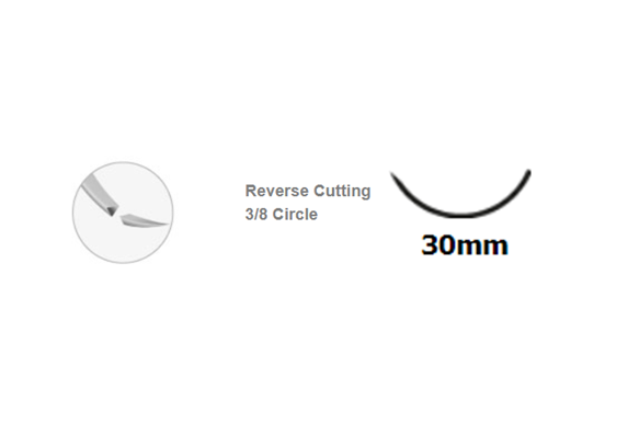 Βελόνα Reverse Cutting 3.8 30mm Βελόνα Reverse Cutting 3.8 30mm
