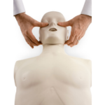 Adult Training Mannequin with LED Metronome & Carrying Bag Prestan Jaw Thrust