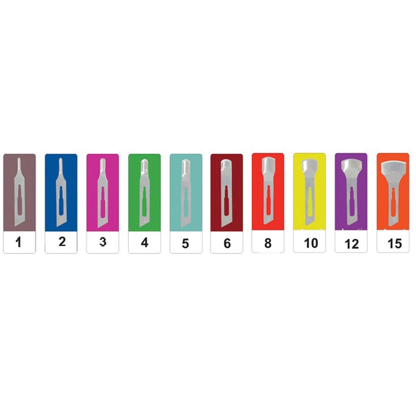 Carbon steel gouge blades GIMA - 50pcs